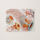Jellyfish, Discomedusae, door Ernst Haeckel Legpuzzel (Horizontaal)
