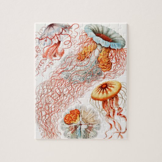 Jellyfish, Discomedusae, door Ernst Haeckel Legpuzzel (Verticaal)