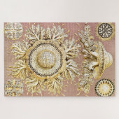 Jellyfish, Discomedusae, door Ernst Haeckel Legpuzzel (Horizontaal)