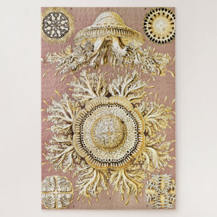 Jellyfish, Discomedusae, door Ernst Haeckel Legpuzzel