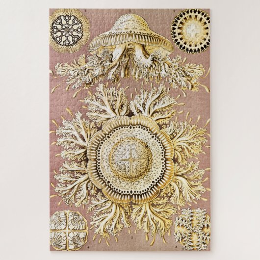 Jellyfish, Discomedusae, door Ernst Haeckel Legpuzzel (Verticaal)