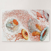 Jellyfish, Discomedusae, door Ernst Haeckel Legpuzzel (Horizontaal)