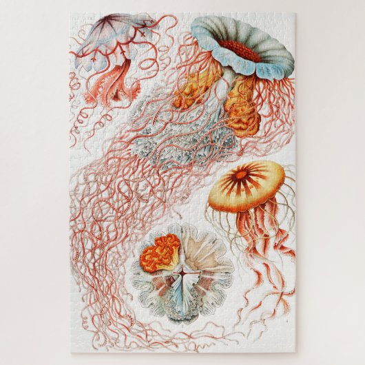 Jellyfish, Discomedusae, door Ernst Haeckel Legpuzzel (Verticaal)