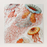 Jellyfish, Discomedusae, door Ernst Haeckel Legpuzzel<br><div class="desc">Jellyfish,  Discomedusae Scheibenquallen door Ernst Haeckel Jigzaag Puzzle.</div>