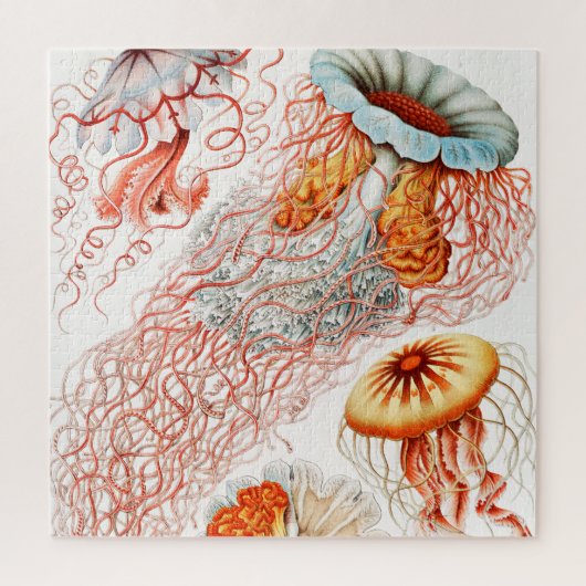 Jellyfish, Discomedusae, door Ernst Haeckel Legpuzzel (Verticaal)