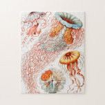 Jellyfish, Discomedusae, door Ernst Haeckel Legpuzzel<br><div class="desc">Jellyfish, Discomedusae Scheibenquallen door Ernst Haeckel Jigzaag Puzzle.</div>