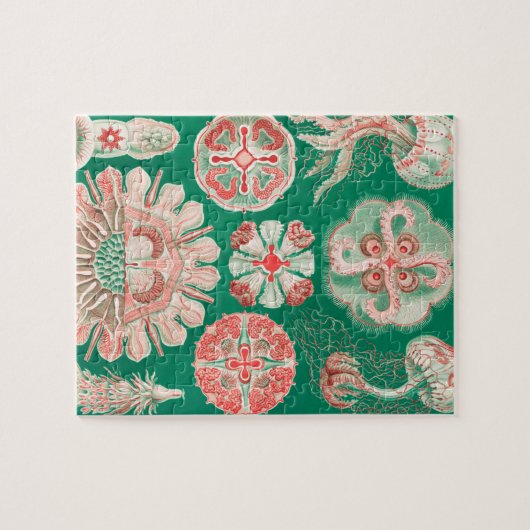 Jellyfish, Discomedusae, door Ernst Haeckel Legpuzzel (Horizontaal)