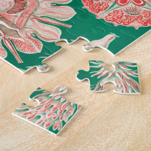 Jellyfish, Discomedusae, door Ernst Haeckel Legpuzzel (Zijkant)