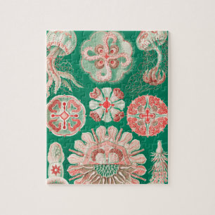 Jellyfish, Discomedusae, door Ernst Haeckel Legpuzzel