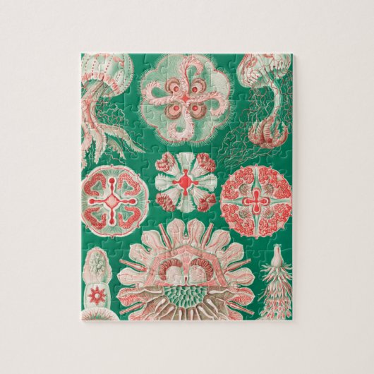 Jellyfish, Discomedusae, door Ernst Haeckel Legpuzzel (Verticaal)