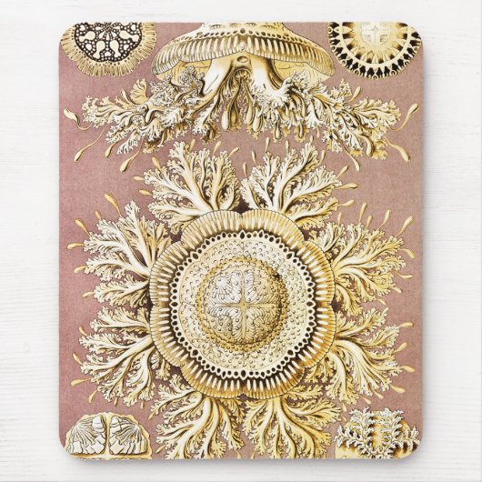 Jellyfish, Discomedusae, door Ernst Haeckel Muismat (Voorkant)