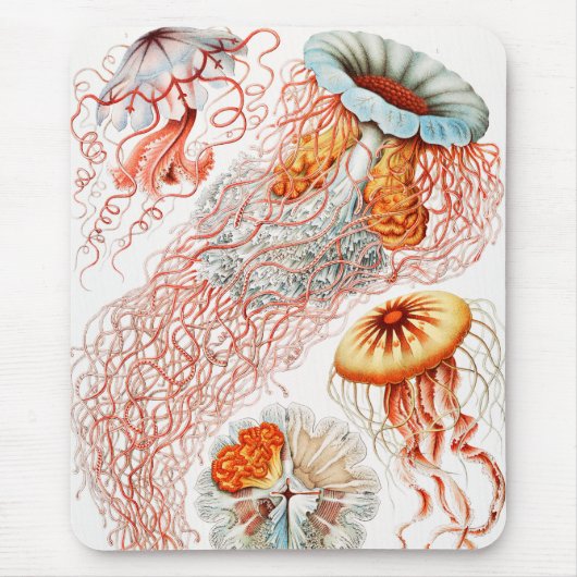 Jellyfish, Discomedusae, door Ernst Haeckel Muismat (Voorkant)