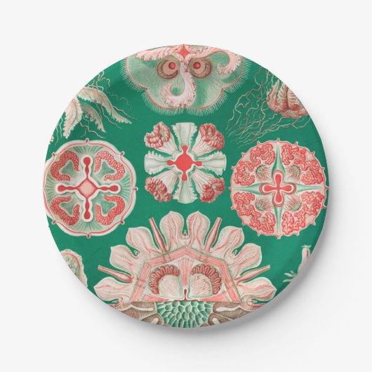 Jellyfish, Discomedusae, door Ernst Haeckel Papieren Bordje (Voorkant)