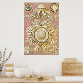 Jellyfish, Discomedusae, door Ernst Haeckel Poster (Keuken)