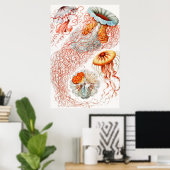 Jellyfish, Discomedusae, door Ernst Haeckel Poster (Thuiskantoor)