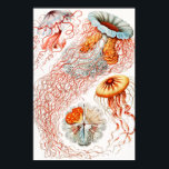 Jellyfish, Discomedusae, door Ernst Haeckel Poster<br><div class="desc">Jellyfish, Discomedusae Scheibenquallen, door Ernst Haeckel Poster</div>