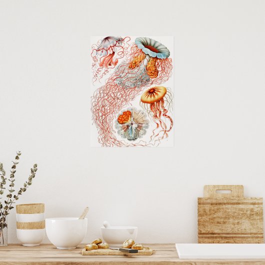 Jellyfish, Discomedusae, door Ernst Haeckel Poster (Keuken)
