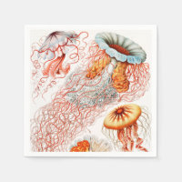 Jellyfish, Discomedusae, door Ernst Haeckel