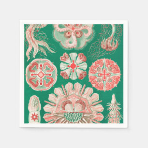 Jellyfish, Discomedusae, door Ernst Haeckel Servet