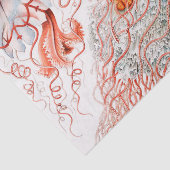 Jellyfish, Discomedusae, door Ernst Haeckel Tissuepapier (Detail)