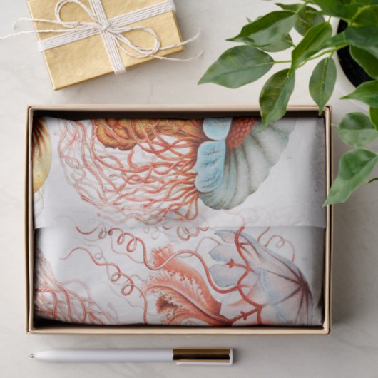 Jellyfish, Discomedusae, door Ernst Haeckel Tissuepapier (Geschenk)
