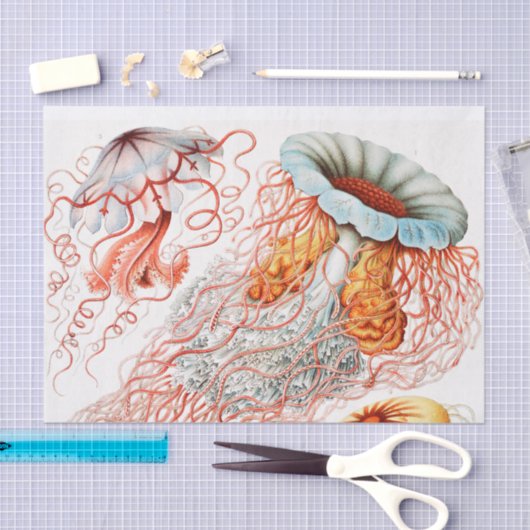 Jellyfish, Discomedusae, door Ernst Haeckel Tissuepapier (Craft)