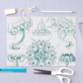 Jellyfish, Discomedusae, door Ernst Haeckel Tissuepapier (Craft)