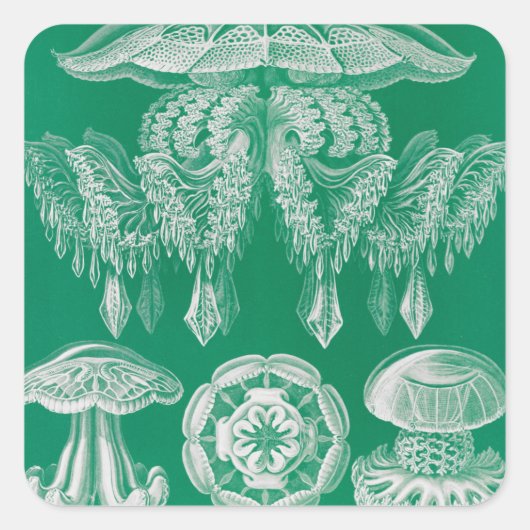 Jellyfish, Discomedusae, door Ernst Haeckel Vierkante Sticker (Voorkant)