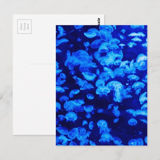 Jellyfish in Deep Blue Zee Briefkaart (Voorkant / Achterkant)
