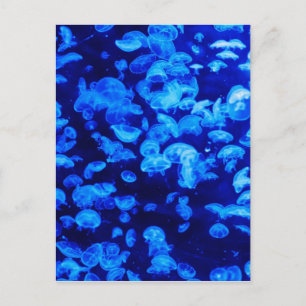 Jellyfish in Deep Blue Zee Briefkaart