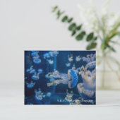 Jellyfish in S.E.A. Aquarium Singapore Briefkaart (Staand voorkant)