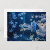 Jellyfish in S.E.A. Aquarium Singapore Briefkaart (Voorkant / Achterkant)