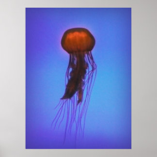 Jellyfish in Space Poster