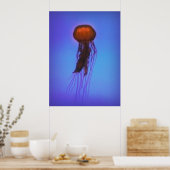 Jellyfish in Space Poster (Keuken)