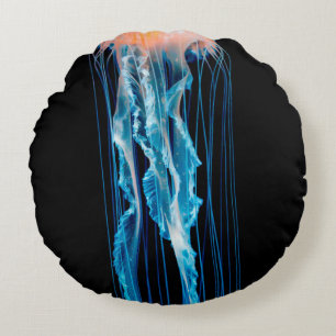 JELLYFISH IN ZEE LONDON ROND KUSSEN