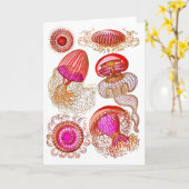 Jellyfish Leptomedusae in helderroze Kaart (Gele Bloem)