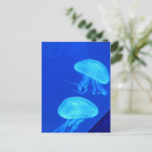 Jellyfish North Carolina Aquarium Briefkaart (Staand voorkant)