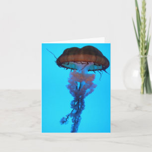 Jellyfish Notecard Kaart