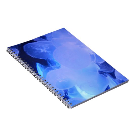 JELLYFISH NOTITIEBOEK (Rechterzijde)