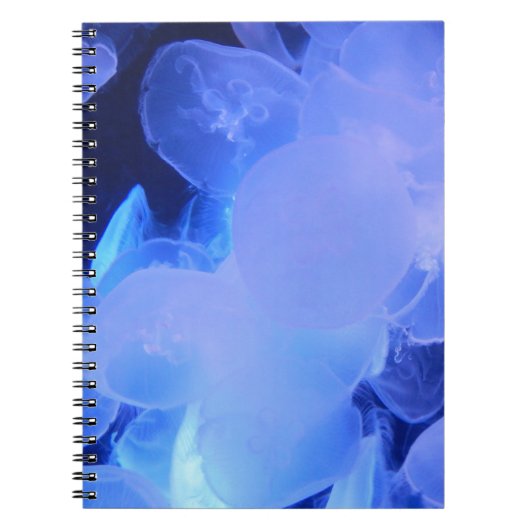 JELLYFISH NOTITIEBOEK (Voorkant)