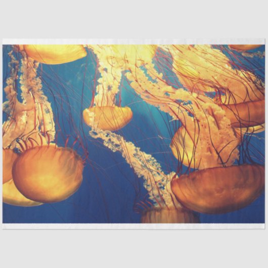 Jellyfish Ocean 20x30 ontkoppeling Tissuepapier (Voorkant)