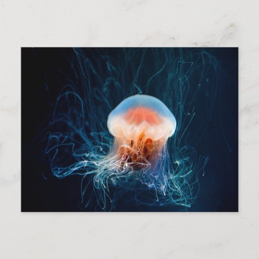 Jellyfish Onderwater - Donkere gloed Briefkaart (Voorkant)