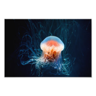 Jellyfish Onderwater - Donkere gloed Foto Afdruk