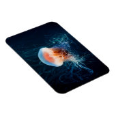 Jellyfish Onderwater - Donkere gloed Magneet (Rechterzijde)