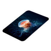 Jellyfish Onderwater - Donkere gloed Magneet (Linkerzijde)