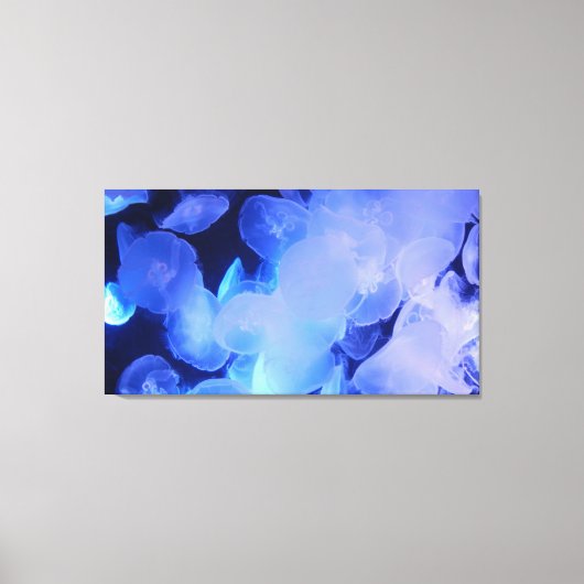 JELLYFISH OP CANVAS 20 "x 16" (Voorkant)