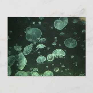 Jellyfish Post Card Briefkaart