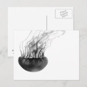 Jellyfish Postcard Briefkaart (Voorkant / Achterkant)