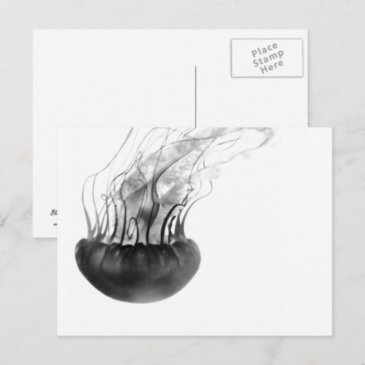 Jellyfish Postcard Briefkaart (Voorkant / Achterkant)