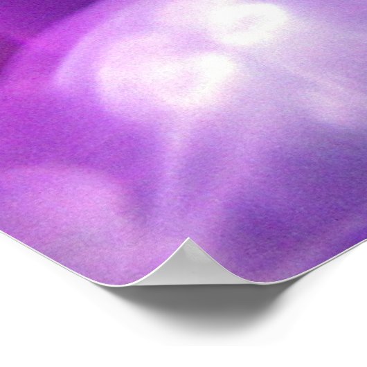 JELLYFISH POSTER (Hoek)